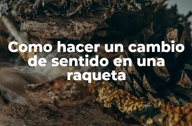 Como Hacer un Cambio de Sentido en una Raqueta