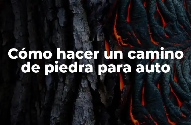 Cómo Hacer un Camino de Piedra para Auto