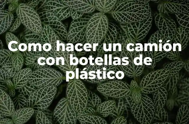 ¿Qué es un camión de botellas de plástico y para qué sirve?