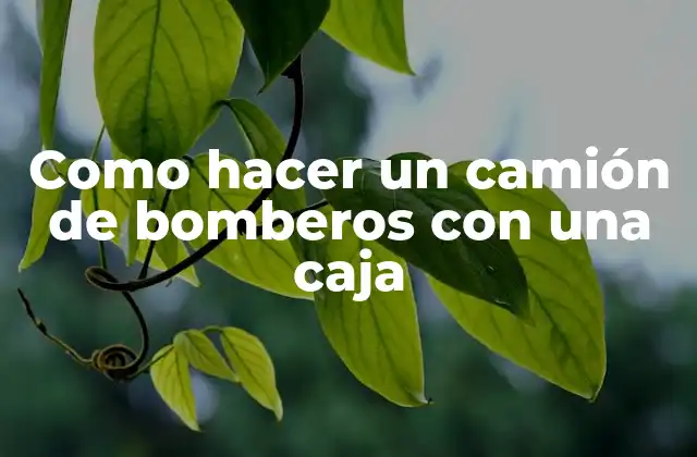 Como Hacer un Camión de Bomberos con una Caja