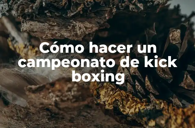 Cómo Hacer un Campeonato de Kick Boxing