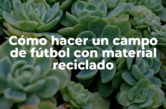 Cómo Hacer un Campo de Fútbol con Material Reciclado