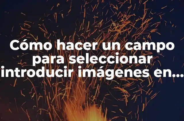 Cómo Hacer un Campo para Seleccionar Introducir Imágenes en Bootstrap