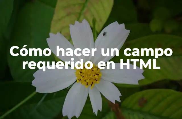 Cómo Hacer un Campo Requerido en Html