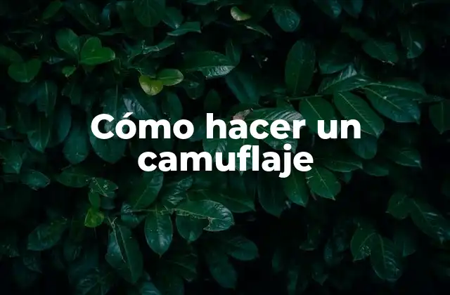 Cómo Hacer un Camuflaje