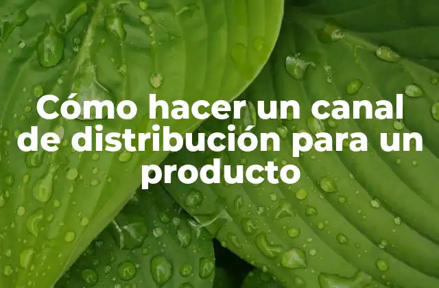 Cómo Hacer un Canal de Distribución para un Producto