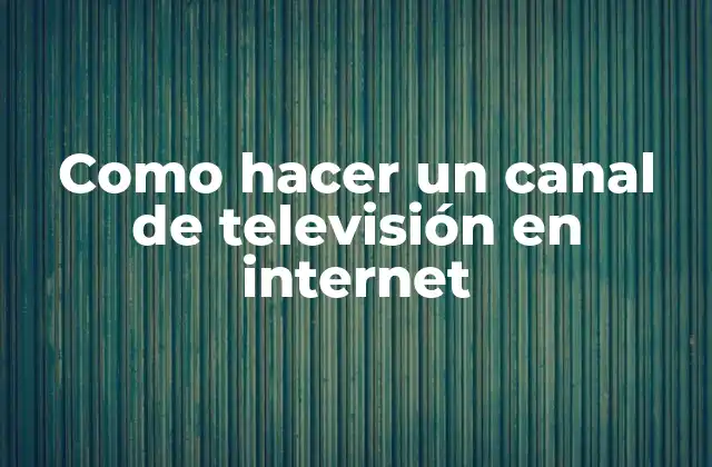 Como Hacer un Canal de Televisión en Internet