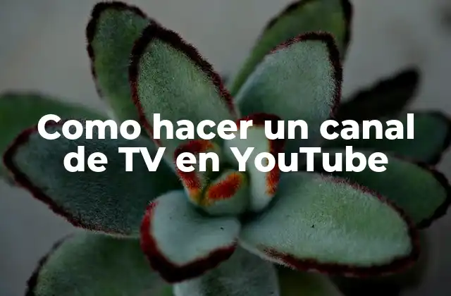 Como Hacer un Canal de Tv en Youtube