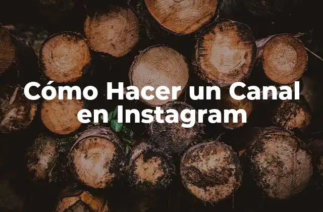 Cómo Hacer un Canal en Instagram