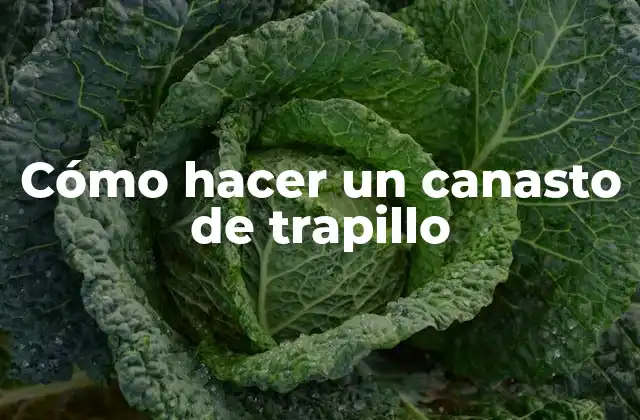 Cómo Hacer un Canasto de Trapillo
