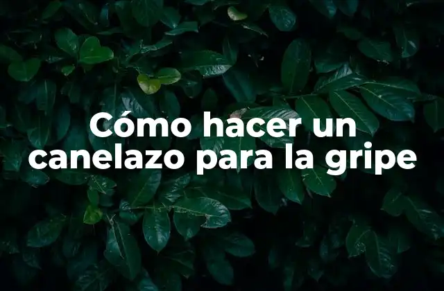Cómo Hacer un Canelazo para la Gripe