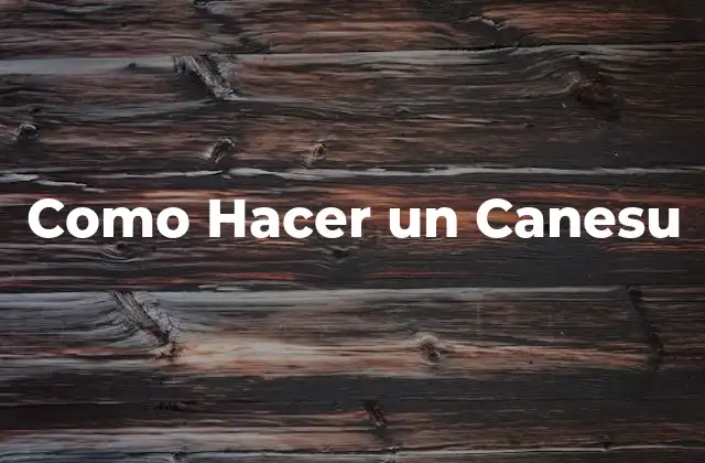Como Hacer un Canesu