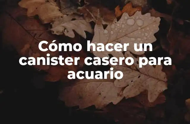 Cómo Hacer un Canister Casero para Acuario