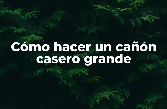 Cómo Hacer un Cañón Casero Grande