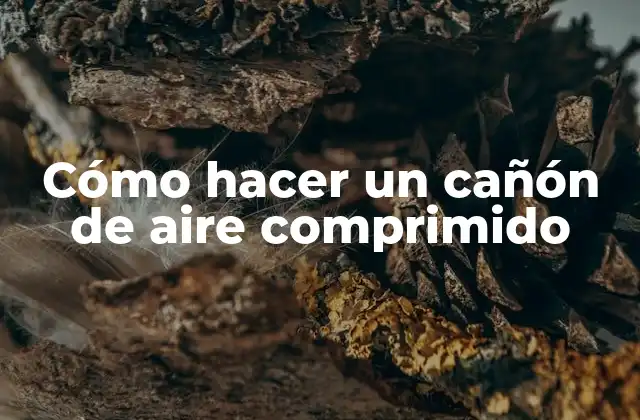 Cómo Hacer un Cañón de Aire Comprimido