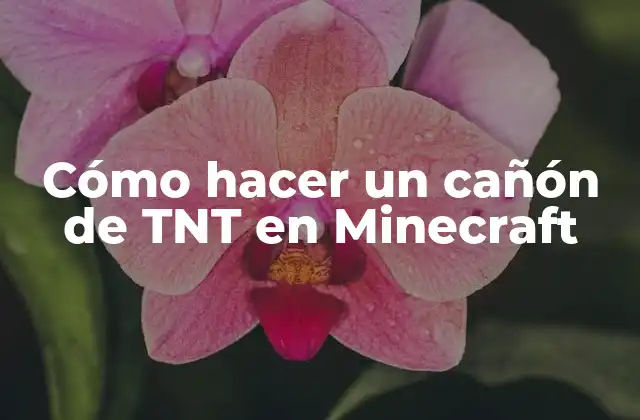 Cómo Hacer un Cañón de Tnt en Minecraft