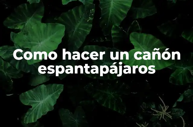 Como Hacer un Cañón Espantapájaros