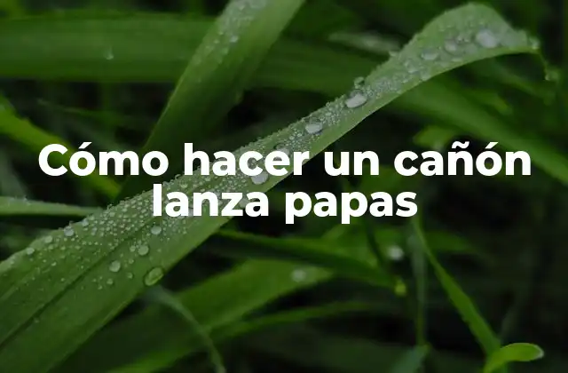 Cómo Hacer un Cañón Lanza Papas