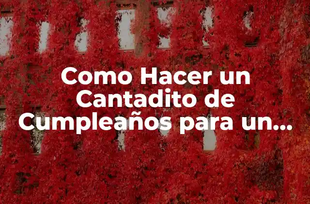 Como Hacer un Cantadito de Cumpleaños para un Bebé