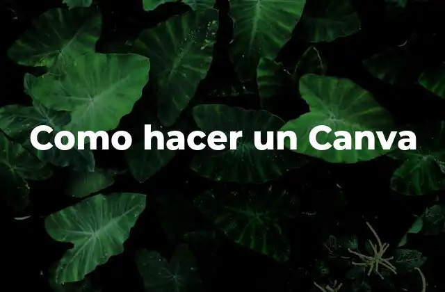 Como Hacer un Canva
