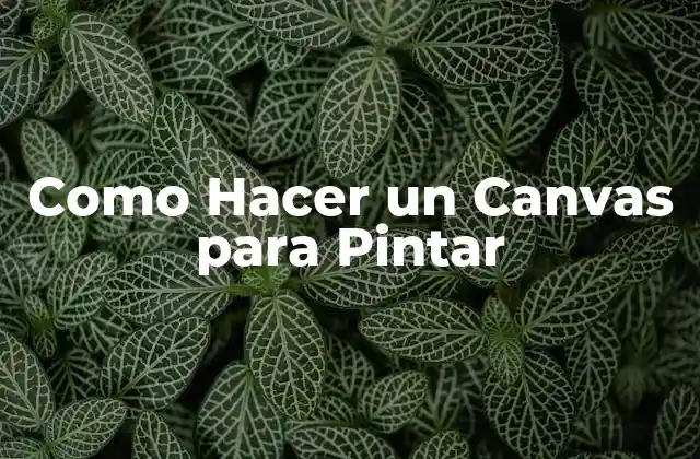 Como Hacer un Canvas para Pintar