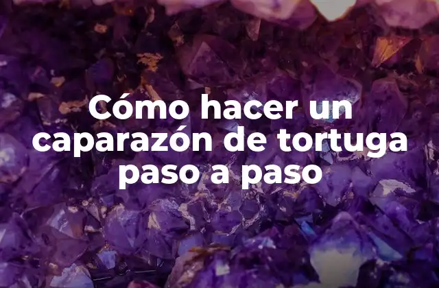 Cómo Hacer un Caparazón de Tortuga Paso a Paso