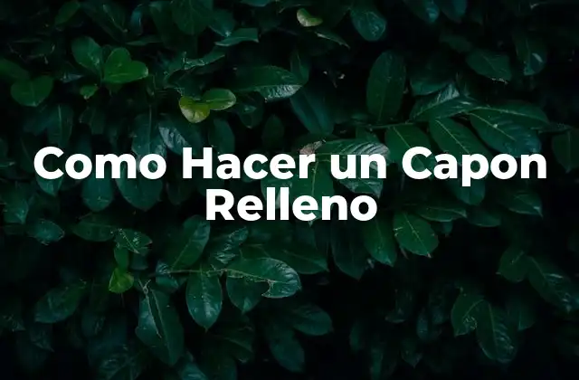 Como Hacer un Capon Relleno