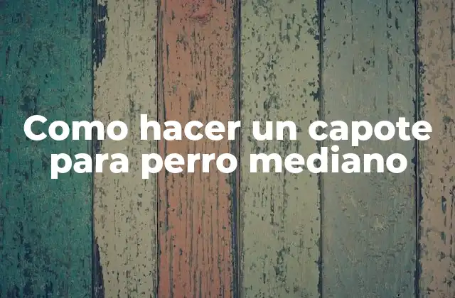 Como Hacer un Capote para Perro Mediano