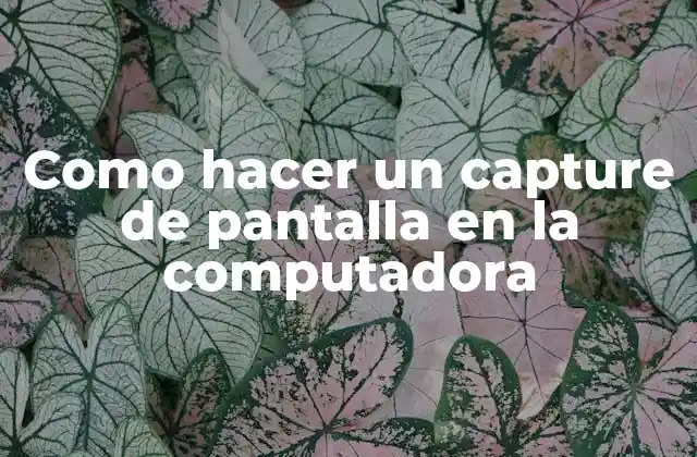 Como hacer un capture de pantalla en la computadora