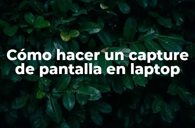 Cómo Hacer un Capture de Pantalla en Laptop