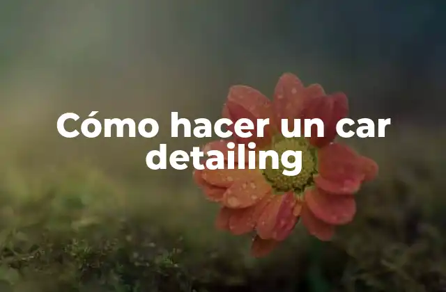 Cómo Hacer un Car Detailing