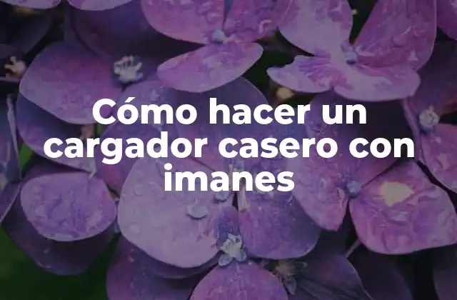 Cómo Hacer un Cargador Casero con Imanes