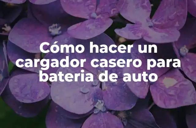 Cómo Hacer un Cargador Casero para Bateria de Auto