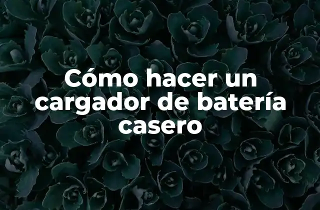 Cómo Hacer un Cargador de Batería Casero