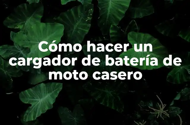 Cómo Hacer un Cargador de Batería de Moto Casero