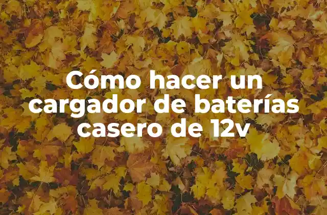 Cómo Hacer un Cargador de Baterías Casero de 12v