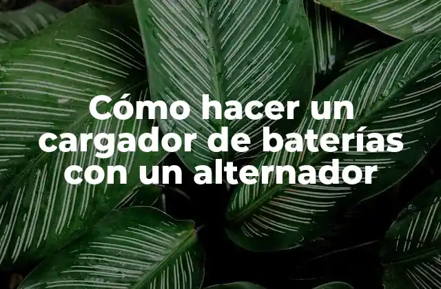 Cómo Hacer un Cargador de Baterías con un Alternador
