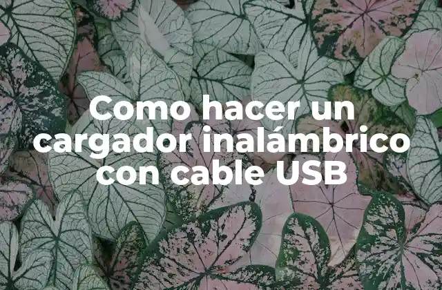 Como Hacer un Cargador Inalámbrico con Cable Usb