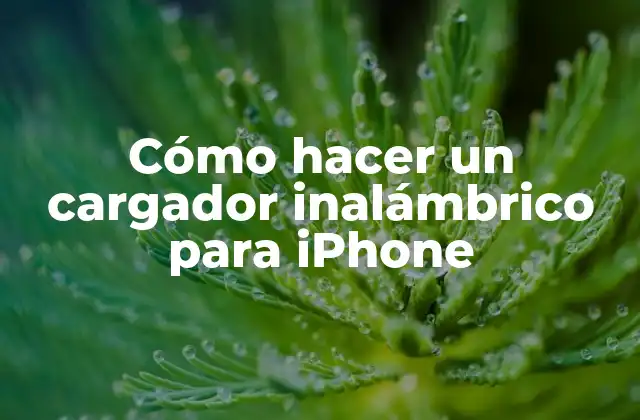 Cómo Hacer un Cargador Inalámbrico para Iphone
