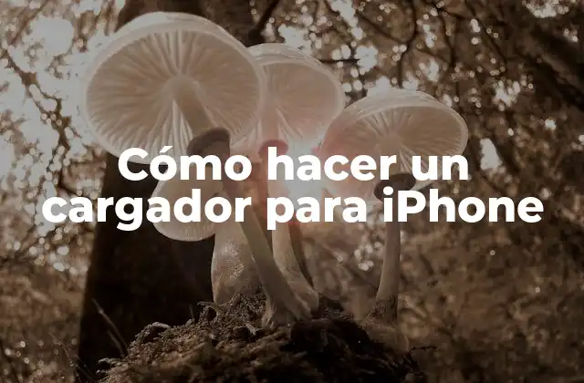 Cómo Hacer un Cargador para Iphone