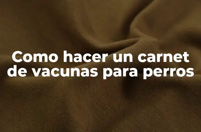 Como Hacer un Carnet de Vacunas para Perros 2 ¿Qué es un carnet de vacunas para perros y para qué sirve?