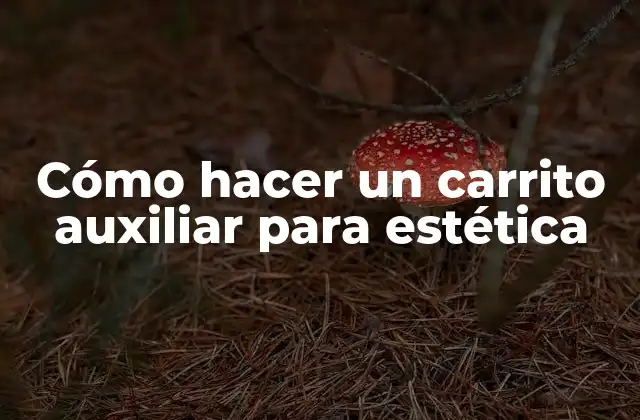 Cómo Hacer un Carrito Auxiliar para Estética