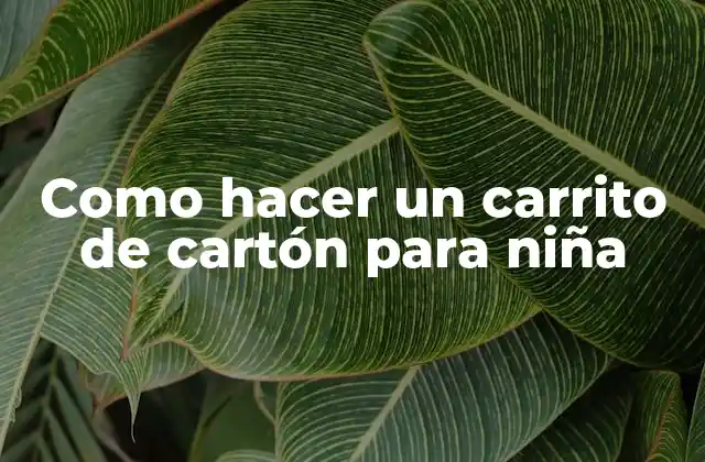 Como Hacer un Carrito de Cartón para Niña