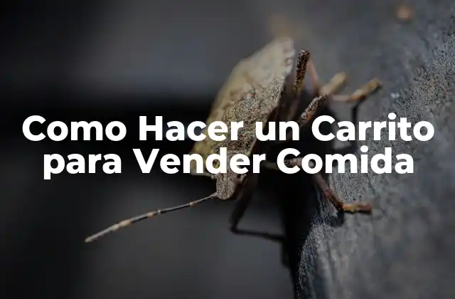 ¿Qué es un Carrito de Comida?