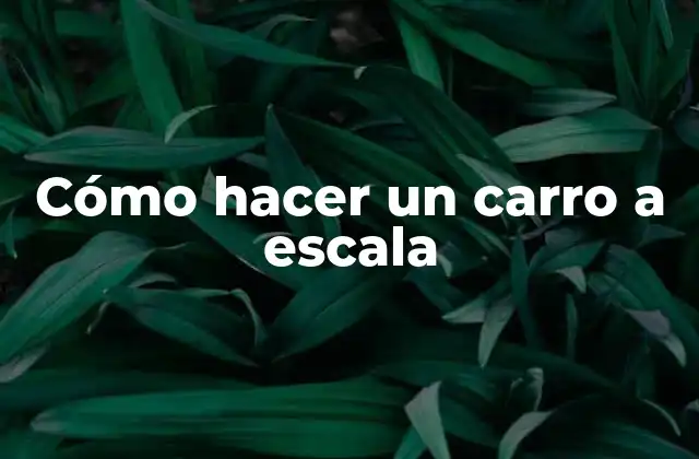 Cómo Hacer un Carro a Escala 2 Cómo hacer un carro a escala