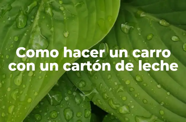 Como Hacer un Carro con un Cartón de Leche