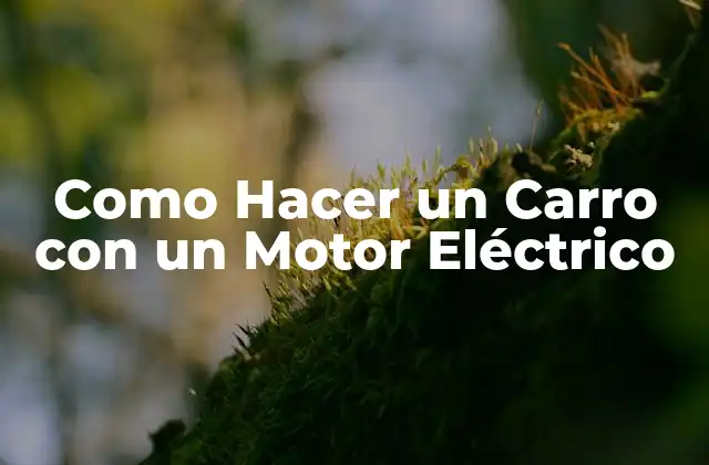 Como Hacer un Carro con un Motor Eléctrico 2 ¿Qué es un Carro con un Motor Eléctrico?