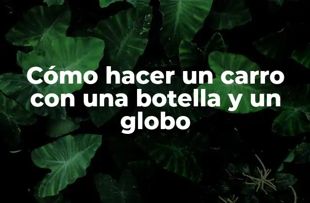 Cómo Hacer un Carro con una Botella y un Globo