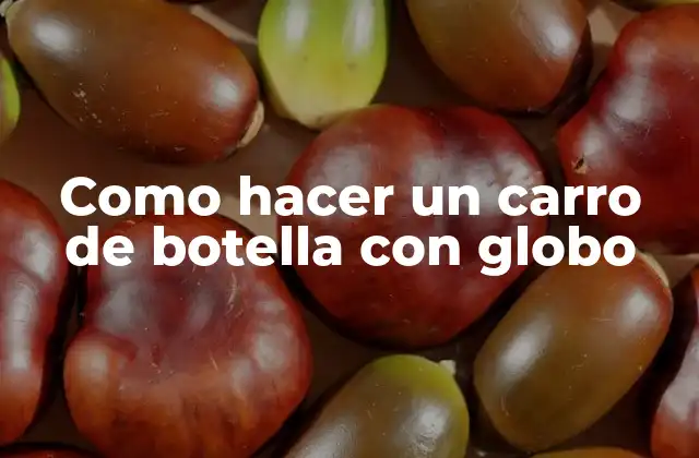 Como Hacer un Carro de Botella con Globo