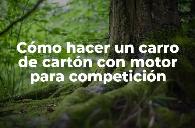Cómo Hacer un Carro de Cartón con Motor para Competición